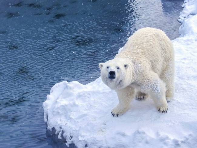 El sexto Informe de Evaluación sobre Cambio Climático ha sugerido que el planeta se encuentra en alerta máxima por los efectos del calentamiento global. Foto: Getty Images / CHUCHART DUANGDAW