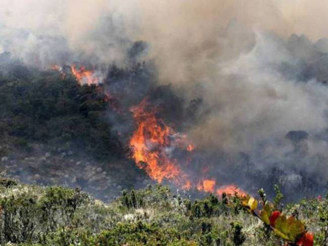 Incendios de cobertura vegetal en Risaralda / Foto: Colprensa