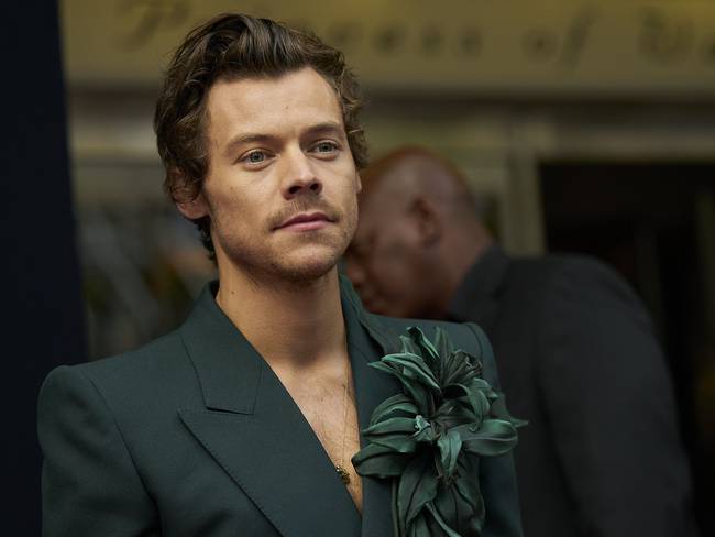 Harry Styles. (Photo by GEOFF ROBINS/AFP via Getty Images)