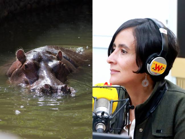 Susana Muhamad se refirió a los hipopótamos de Hacienda Nápoles.