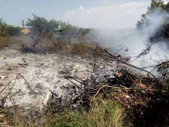 Hay altas probabilidades de ocurrencia de incendios forestales en Cartagena por la temporada seca que se avecina. Crédito: Foto/cortesía OAGRD.
