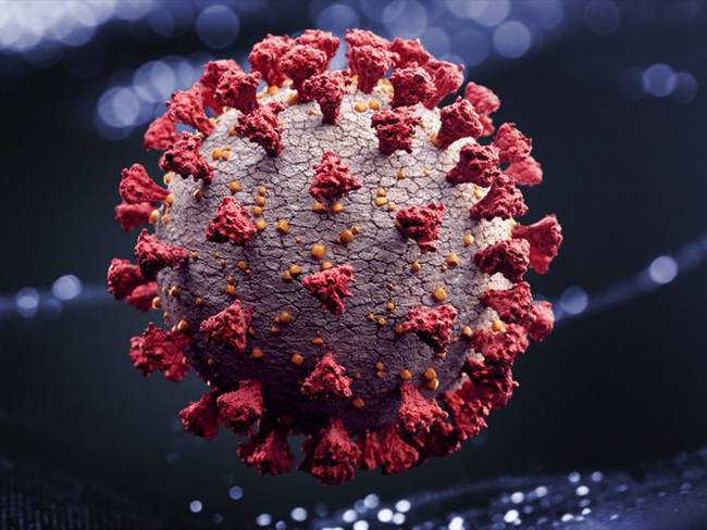 Esta familia de virus se descubrió en la década de los 60. Foto: Getty Images