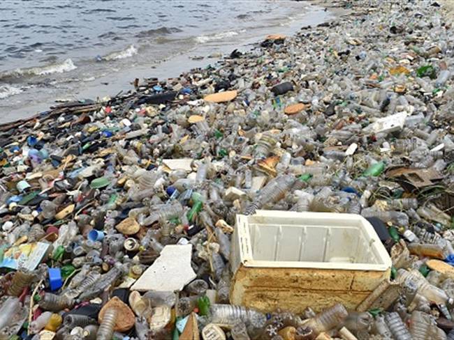 El plástico está poniendo en peligro la vida en los océanos: Vicky Cann. Foto: Getty Images