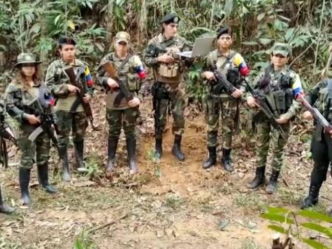 FARC-EP anuncia cese al fuego unilateral - Foto: Farc-EP
