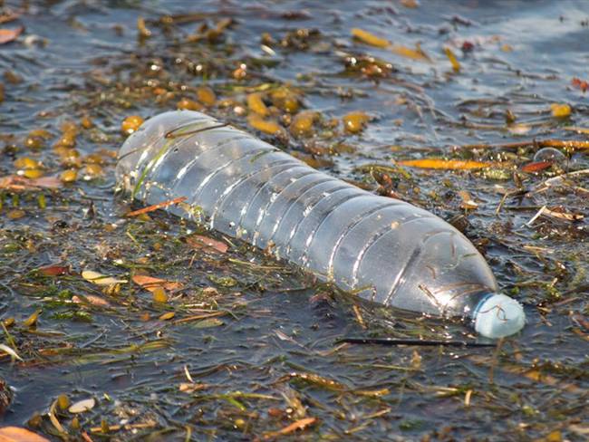 En el mar flotan actualmente más de cinco billones de trozos de plástico y las previsiones apuntan a que los residuos aumentarán hasta 10 veces en la próxima década. Foto: Getty Images