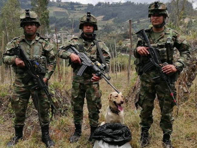 Incautación de explosivos- Nariño. Foto: Ejército Nacional