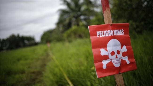 Siete campesinos resultaron gravemente heridos tras caer en campo minado. Foto: Getty Images / SERGIO ACERO