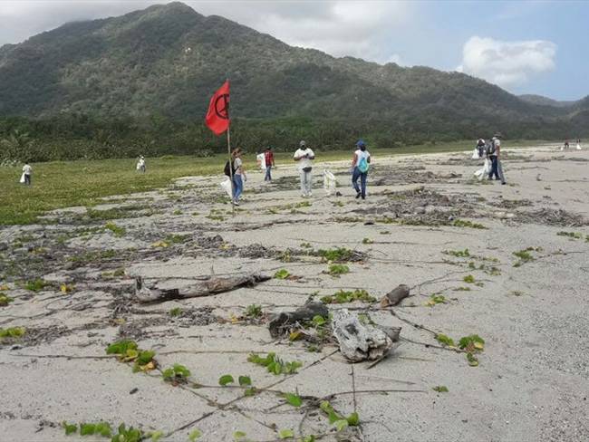 Directora de Parques Nacionales afirma que área de ecoturismo en el Tayrona no ha reducido