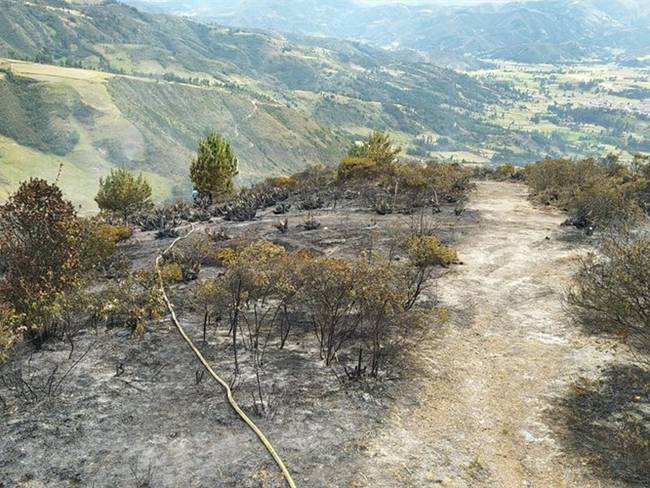 Las llamas quemaron bosques de pinos, vegetación nativa y pastos.. Foto: Bomberos Tunja