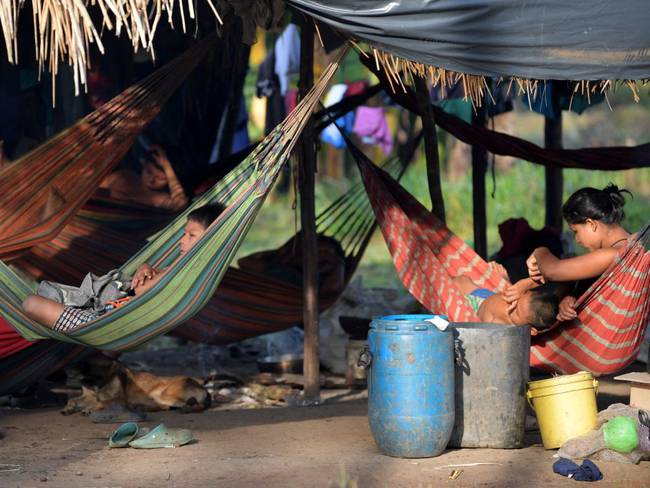 Fundación sobre niños en Guaviare: “les dan bóxer cuando ya no aguantan el hambre”