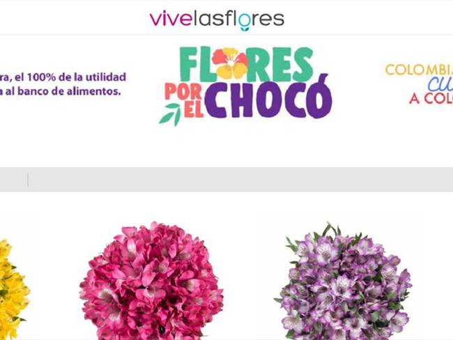 Flores por el Chocó . Foto: Captura de pantalla