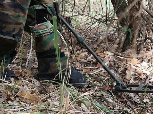 Clan del golfo y disidentes de las Farc se unen para poner minas antipersona. Foto: Colprensa