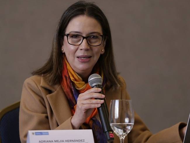 Viceministra de Relaciones Exteriores, Adriana Mejía. Foto: Colprensa