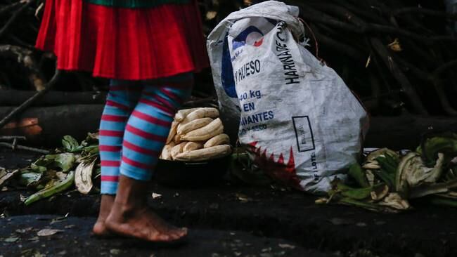 Bogotá. Octubre 22 de 2021. Difícil situación humanitaria de los indígenas embera que están en el parque nacional de Bogotá, tras aviso de desalojo de la Alcaldía. (Colprensa - Camila Díaz)