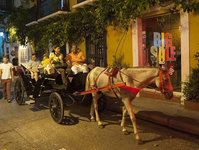 Caballos cocheros en Cartagena. Foto: Getty Images