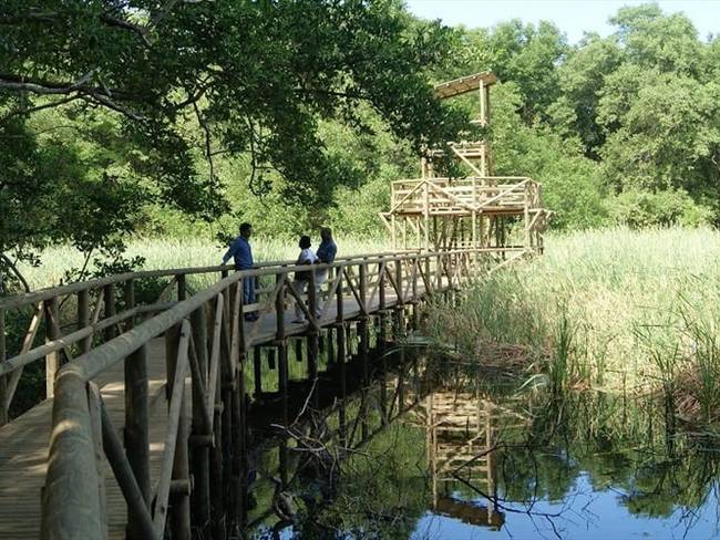 Arranca licitación de los servicios ecoturísticos de los parques Tayrona e Isla de Salamanca. Foto: Cortesía Parques Nacionales