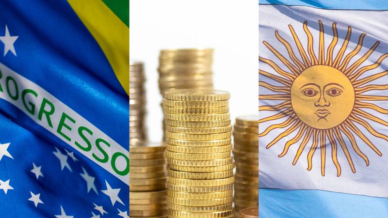 Es utópico”: experto sobre propuesta de moneda única entre Argentina y  Brasil