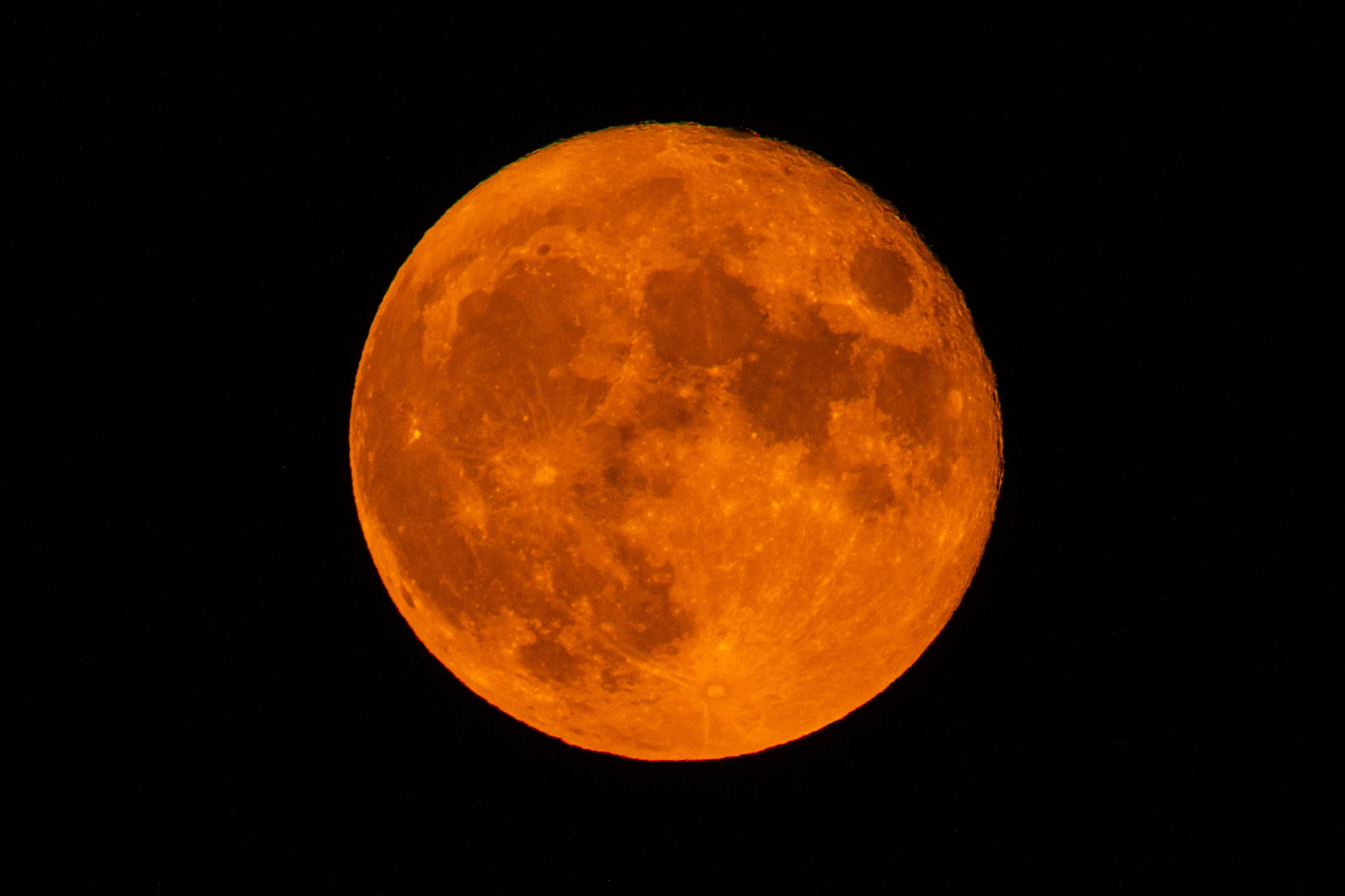 Eclipse lunar de noviembre 2022 ¿Cuándo y a qué hora se podrá ver?