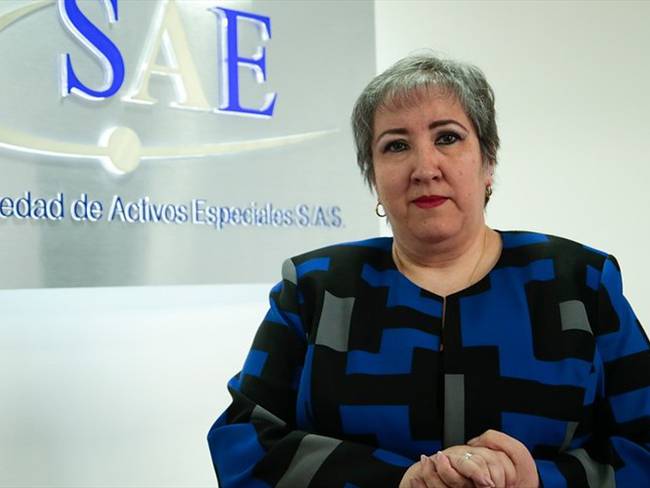 La abogada Maria Virginia Torres dirigió la SAE desde septiembre de 2014.. Foto: Colprensa