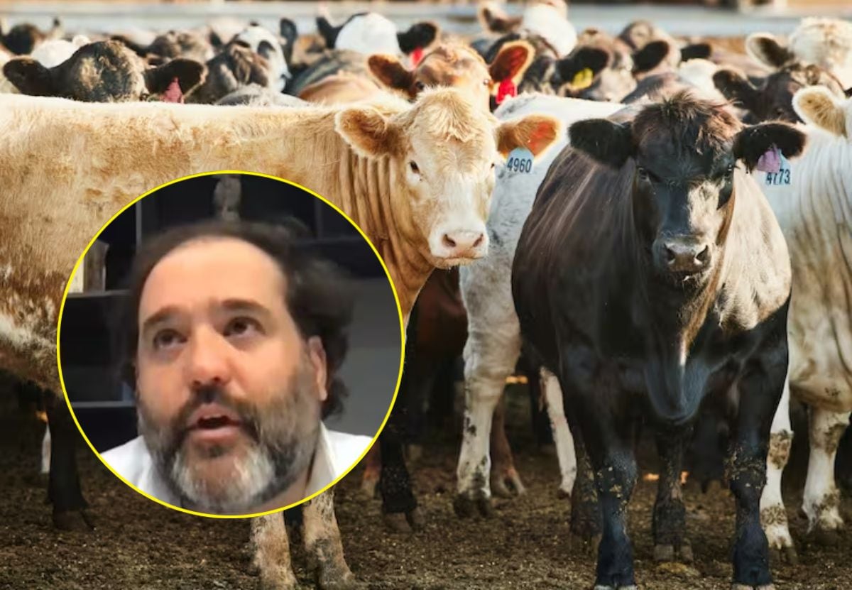 Controversia por participación de Felipe Rocha, cerebro de pirámide ganadera, en emisoras