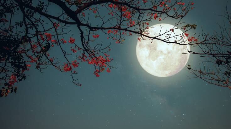 Imagen de la Luna llena / Foto: GettyImages