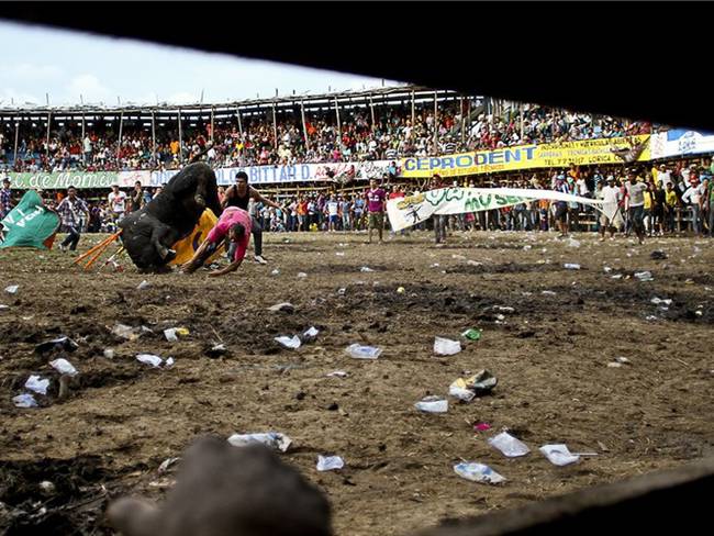 En lo que va corrido de las fiestas de las corralejas, 73 personas han resultado heridas. Foto: Getty Images