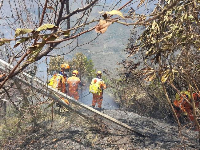 Incendio forestal en el municipio de Chitagá ha consumido 300 hectáreas- Cortesía 
