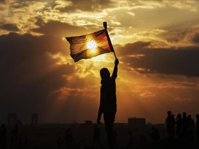 Colombia reconocerá a Palestina como un Estado. Foto: Ali Jadallah - Agencia Anadolu