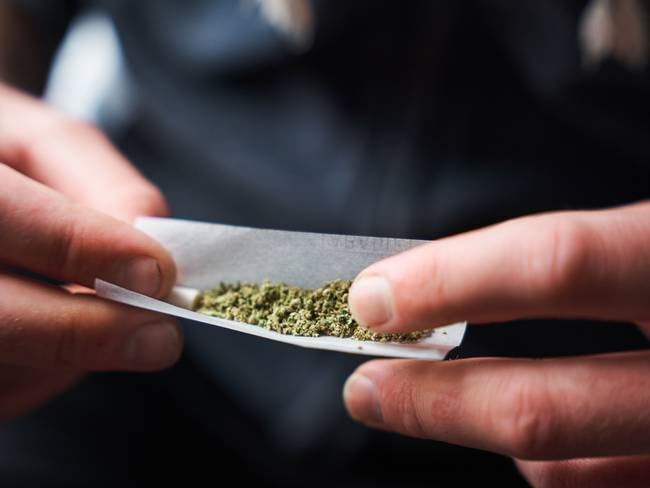 ¿Por qué el Partido Conservador se opone a la regulación del cannabis para adultos?