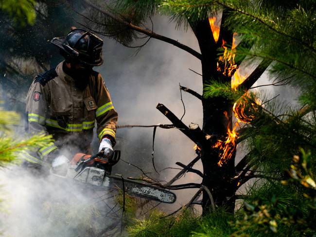 Incendios en Chile. Foto: Getty Images.