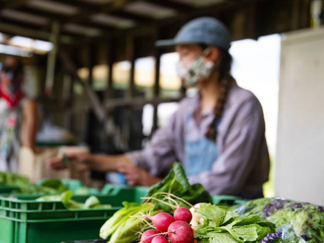 &#039;TierraCol&#039;, plataforma colombiana facilita que pequeños productores puedan vender sin intermediarios. Foto: Getty Images