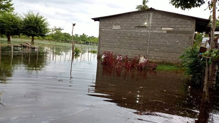 Más de 300 hectáreas de cultivos quedaron bajo el agua tras desbordamiento de canal en Cotorra, Córdoba. Foto: cortesía. 