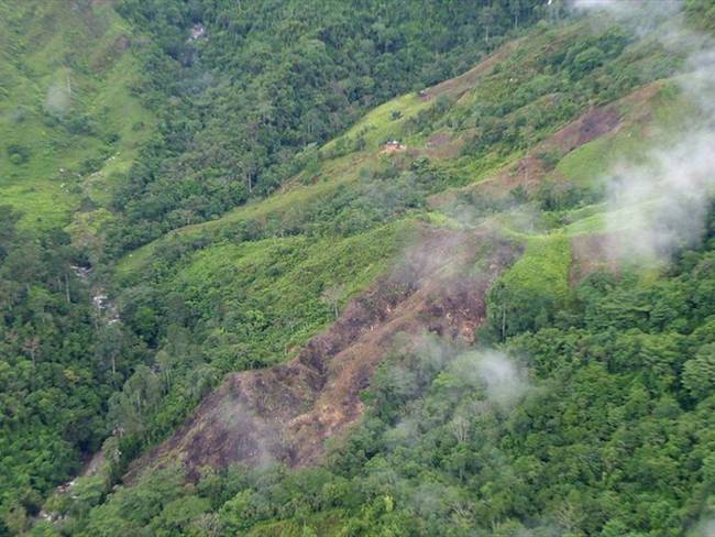 Colombia perdió 219.973 hectáreas de bosque en 2017. Foto: Colprensa