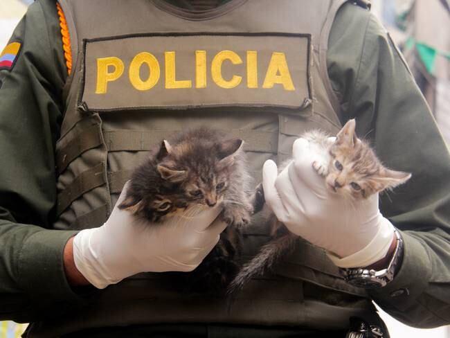 Marlon Velazco, el policía que se dedica a alimentar y cuidar animales callejeros