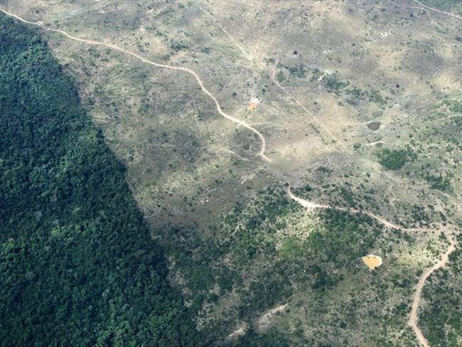 Investigación que plantea que la Amazonía comienza a emitir dióxido de carbono en vez de absorberlo. Foto: Getty Images/ Ricardo Lima