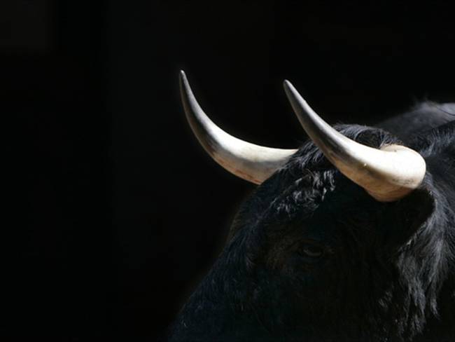 Hombre tomó viagra para toros y tuvo que ser hospitalizado. Foto: Getty Images