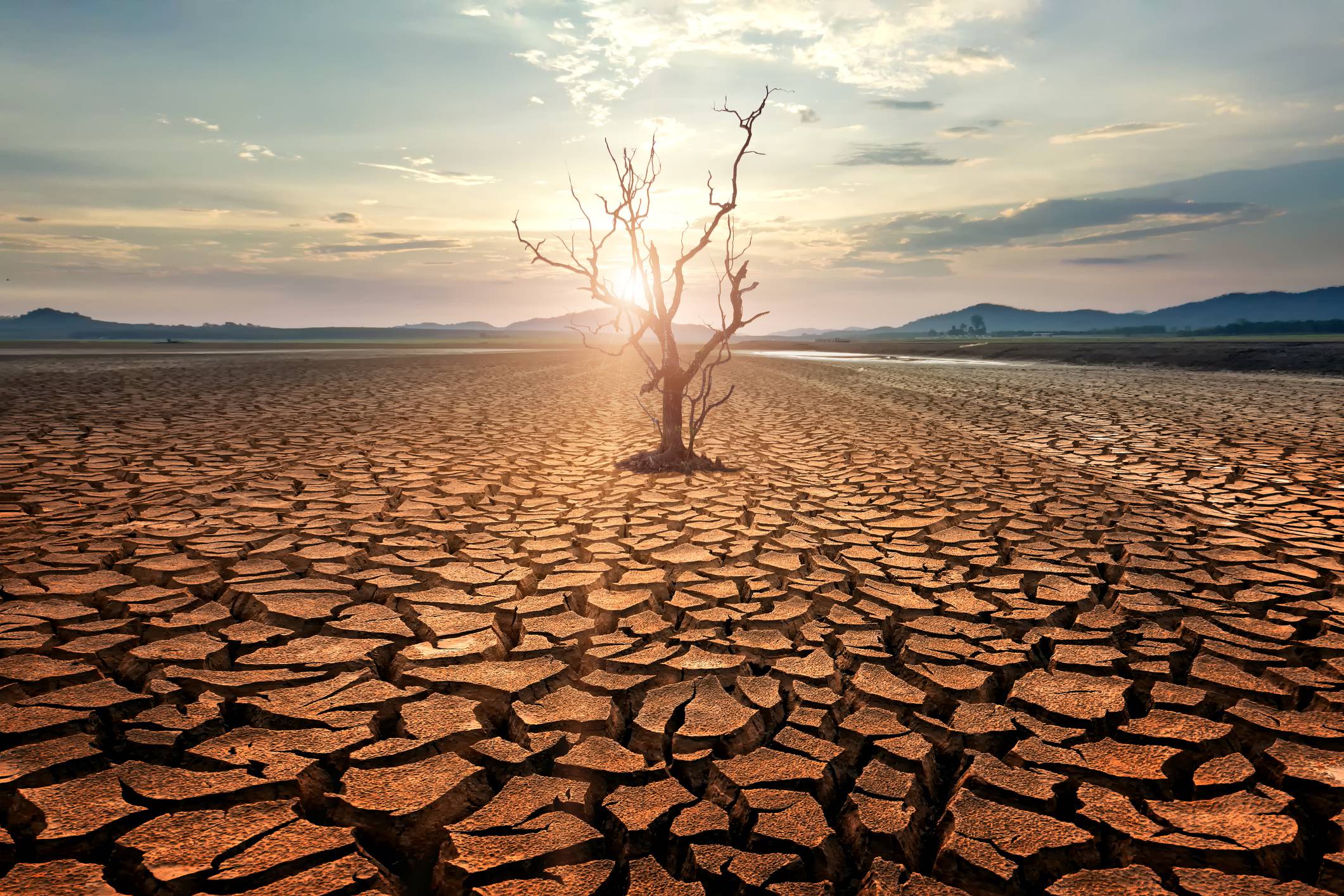 Тема засуха. Засуха. Пустыня засуха. Атмосферная засуха. Осенняя засуха.