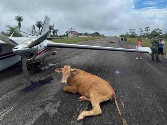 Accidente de una aeronave en Bolívar. Foto: Cortesía Cristian Medina