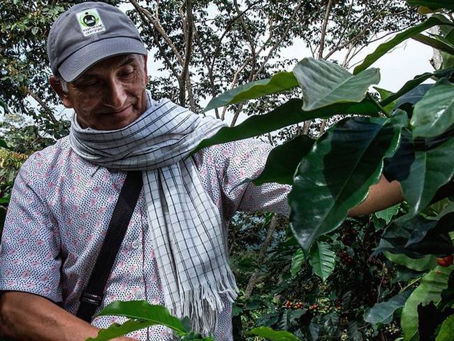 Producción de café de Colombia creció 3% en últimos 12 meses. Foto: Colprensa
