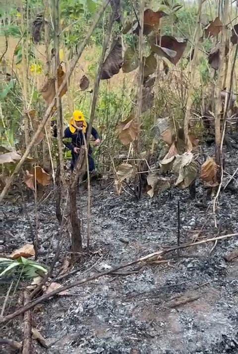 Incendio forestal afectó cerca de 60 hectáreas en zona rural de Canalete, Córdoba