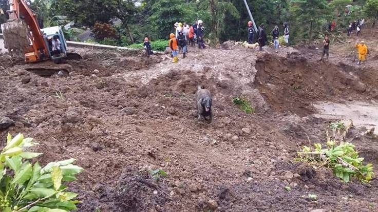 Deslizamiento en Rosas, Cauca. Foto: Invías.