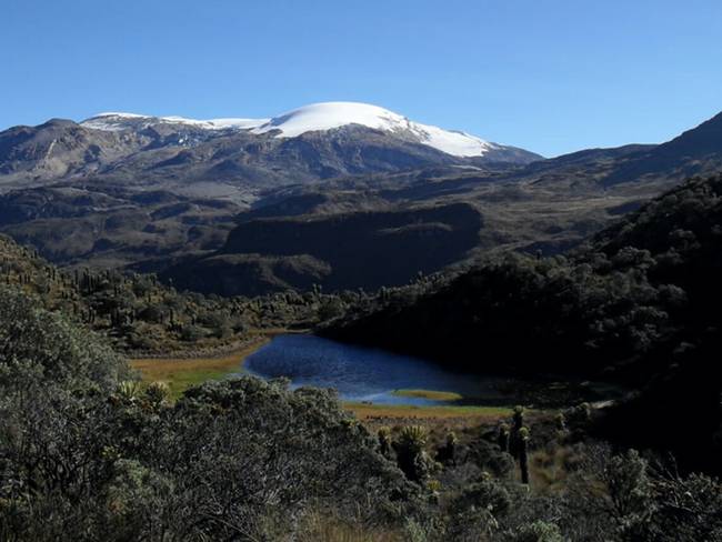 Parque Nacional Natural Los Nevados / Foto: Parque Nacionales Naturales