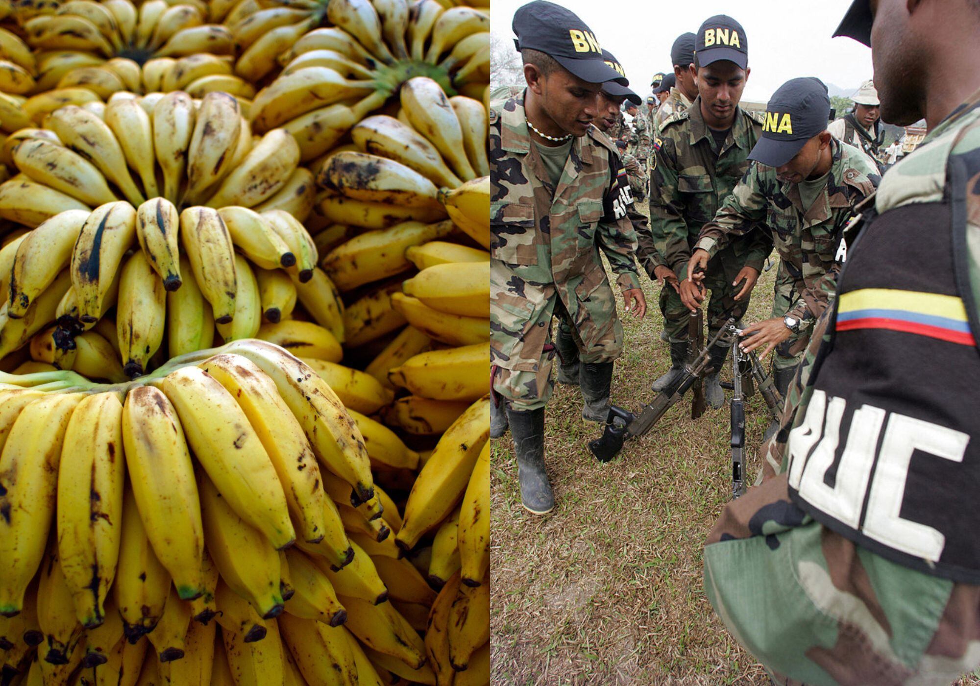Se negó a vender la tierra y lo mataron: víctima de los “paras” y denunciante de Chiquita