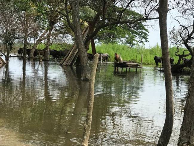 Declaran alerta roja en Ayapel por aumento en los niveles del río Cauca. Foto: cortesía.