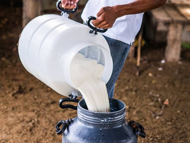 Fedegán pide al Gobierno proteger a productores, industria procesadora y consumidores de leche. Foto: Getty Images
