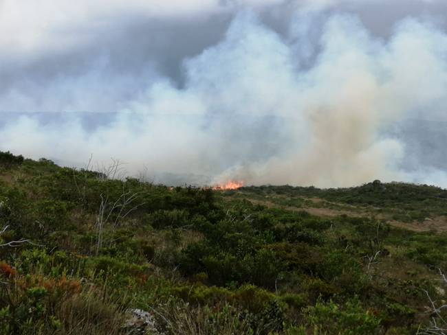 La topografía donde se registra el incendio es compleja. Foto: Alcaldía de Villa e Leyva. 