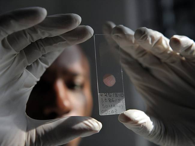 Estos brotes de malaria se presentaron en sitios nunca considerados como endémicos y que por el cambio climático y temas asociados a minería se han agudizado. Foto: Getty Images