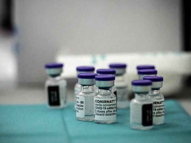 Pfizer anuncia eficacia del 100% de su vacuna anticovid. Foto: JEAN-PHILIPPE KSIAZEK/AFP via Getty Images