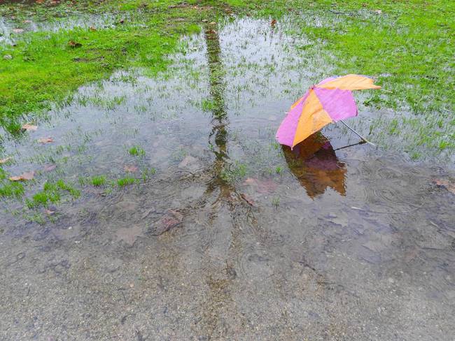 Imagen de referencia de lluvia. Foto: Getty Images / japatino