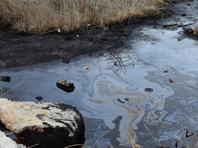 Denuncian que Mansarovar estaría contaminando humedales con hidrocarburos. Foto: Getty Images